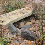 Large flat rock used as stepping stone bridge