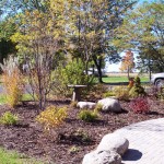 Plantings
