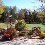 Garden surrounding design