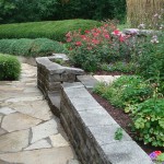 garden, path, plants, landscape
