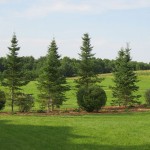 Complementary landscape element