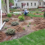 planting, landscape, decorative