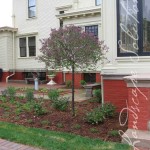 Plantings