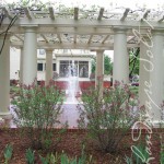 View of fountain through pergola