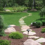 Path to River
